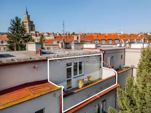Pronájem bytu 2+kk, Praha - Bubeneč, Ve struhách, 45 m2