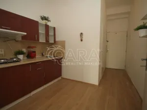 Pronájem bytu 1+kk, Praha - Žižkov, Hartigova, 29 m2