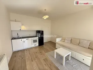 Pronájem bytu 1+kk, Praha - Krč, Budějovická, 25 m2