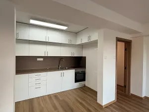Pronájem bytu 4+kk, Olomouc, Přáslavská, 170 m2
