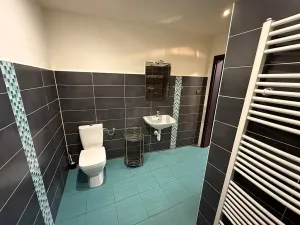Pronájem bytu 3+1, Hradec Králové, Československé armády, 96 m2