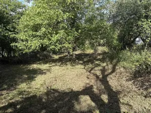Prodej zahrady, Říčany, Do Lehovic, 2317 m2