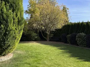 Pronájem rodinného domu, Syrovice, 140 m2