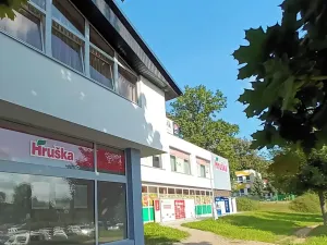 Prodej bytu 1+kk, Svitavy, Svitavská, 35 m2