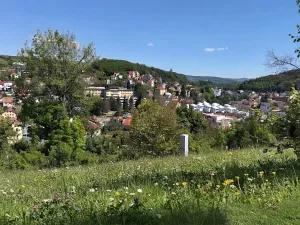 Prodej pozemku pro bydlení, Luhačovice, 1833 m2