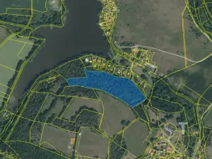 Prodej lesa, Vrchotovy Janovice, 19533 m2