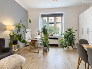 Pronájem bytu 2+1, Brno, Šumavská, 54 m2