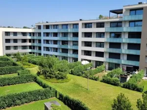 Pronájem bytu 1+kk, Praha - Žižkov, Krásova, 45 m2