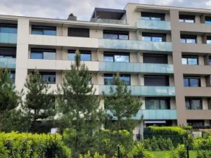 Pronájem bytu 1+kk, Praha - Žižkov, Krásova, 45 m2
