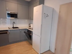 Pronájem bytu 1+kk, Praha - Žižkov, Olšanská, 79 m2