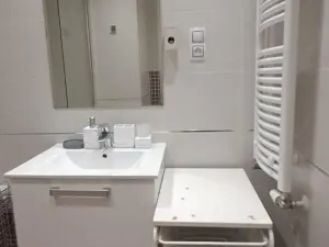 Pronájem bytu 1+kk, Praha - Žižkov, Olšanská, 79 m2