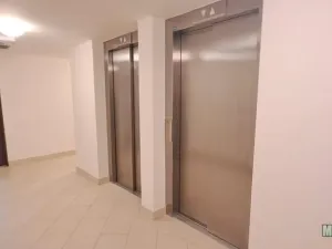 Pronájem bytu 1+kk, Praha - Žižkov, Olšanská, 79 m2
