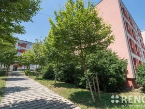 Prodej bytu 1+1, Brno, Družstevní, 37 m2