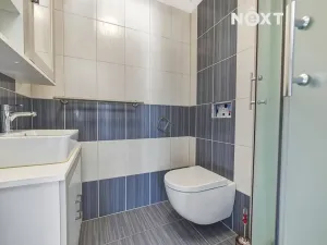 Prodej rodinného domu, Dolní Branná, 227 m2
