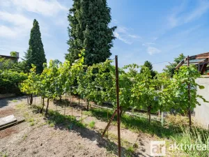 Prodej rodinného domu, Mělník, Vinohradská, 307 m2