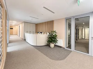Pronájem kanceláře, Praha - Košíře, Vrchlického, 500 m2