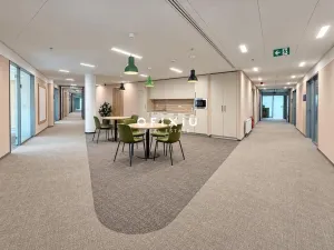 Pronájem kanceláře, Praha - Košíře, Vrchlického, 350 m2