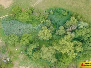 Prodej zahrady, Uherský Brod, 4292 m2