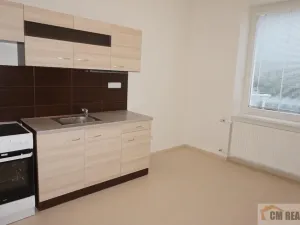Pronájem bytu 1+1, Prostějov, Milíčova, 43 m2