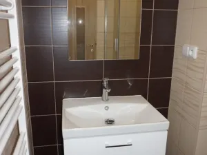 Pronájem bytu 1+1, Prostějov, Milíčova, 43 m2