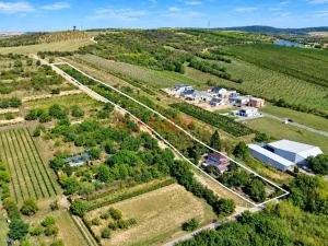 Prodej pozemku pro bydlení, Hustopeče, Havlíčkova, 7968 m2