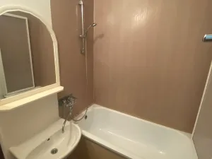 Pronájem bytu 2+1, Olomouc, Kmochova, 52 m2