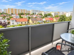 Prodej bytu 1+kk, Hradec Králové - Nový Hradec Králové, Brožíkova, 35 m2