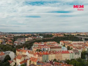 Prodej bytu 1+kk, Praha - Nusle, Krokova, 17 m2