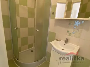 Pronájem bytu 1+1, Opava - Předměstí, Rybářská, 37 m2