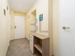 Prodej bytu 3+kk, Hodonín, U Červených domků, 55 m2