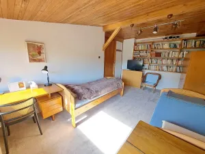 Pronájem pokoje, Plzeň, Petřínská, 12 m2