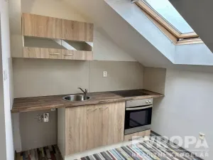 Pronájem bytu 1+kk, Břeclav, Libušina, 23 m2