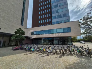 Pronájem obchodního prostoru, Brno - Štýřice, Holandská, 398 m2