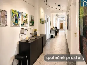 Pronájem kanceláře, Praha - Nové Město, Opletalova, 15 m2