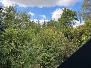 Pronájem chaty, Příbram, 23 m2