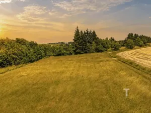 Prodej pozemku pro bydlení, Kořenec, 2894 m2