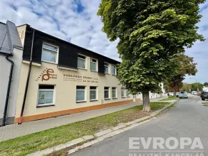Prodej výrobních prostor, Přerov - Přerov I-Město, 9. května, 495 m2