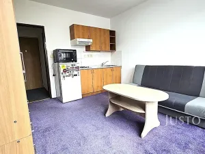 Pronájem bytu 1+kk, Písek, Dr. M. Horákové, 20 m2