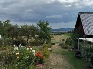 Prodej chaty, Velké Opatovice, Čihadlo, 10 m2