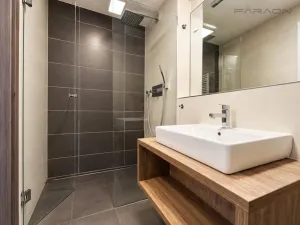 Pronájem bytu 1+kk, Praha - Žižkov, Hartigova, 34 m2