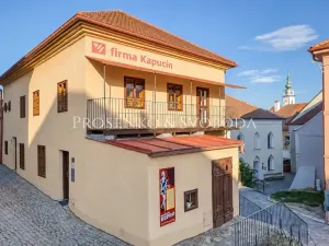 Prodej činžovního domu, Třebíč, Blahoslavova, 533 m2