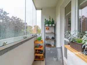 Prodej bytu 3+1, Přerov - Přerov I-Město, Jasínkova, 74 m2