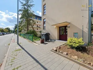 Prodej bytu 1+1, Brno, Dvorského, 39 m2