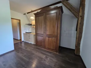 Pronájem bytu 1+kk, Skalice - Skalička, 49 m2