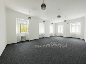 Pronájem kanceláře, České Budějovice, Kanovnická, 210 m2