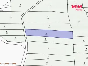 Prodej lesa, Břežany, 3520 m2