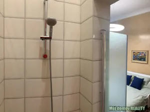 Pronájem bytu 1+kk, Praha - Nové Město, Hálkova, 33 m2