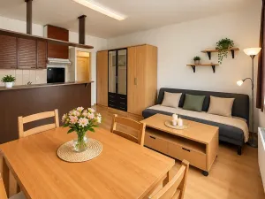Pronájem bytu 1+kk, Praha - Nusle, Nad Jezerkou, 37 m2