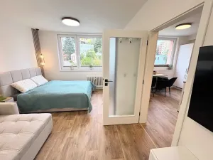 Prodej bytu 1+1, Jihlava, Březinova, 34 m2