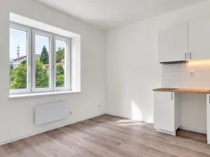 Prodej bytu 1+kk, Praha, 17 m2